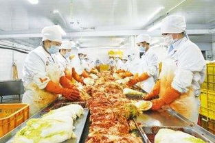 吉林農(nóng)產(chǎn)品加工業(yè)加速向“三化”發(fā)展，土特產(chǎn)迎來新機遇