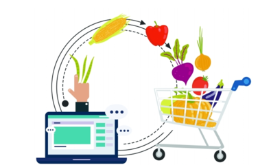 生鮮農(nóng)產(chǎn)品電商為何難以突圍——以土特產(chǎn)為例